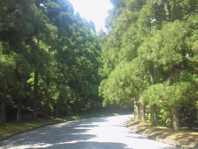武蔵野稜の参道